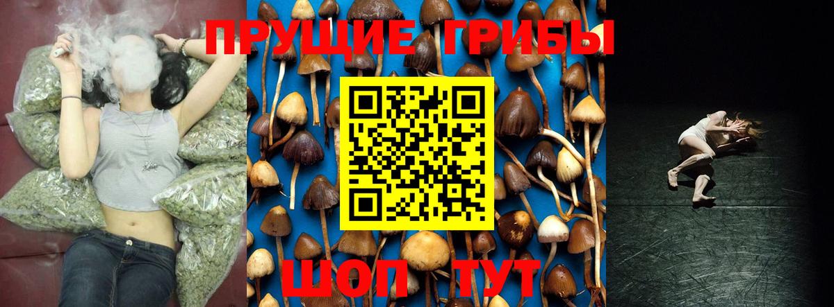 Галлюциногенные грибы Magic Shrooms Ахтубинск